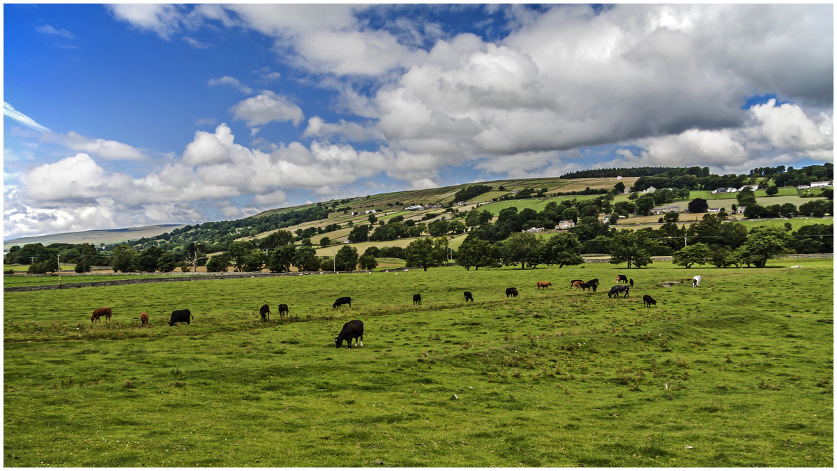 1st. - Richard Green